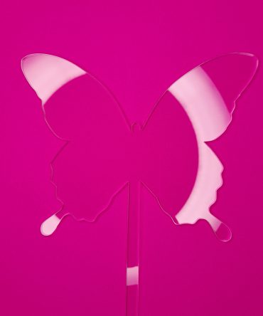 Acrylic Paddle Butterfly